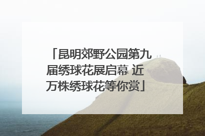 昆明郊野公园第九届绣球花展启幕 近万株绣球花等你赏