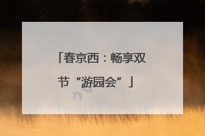 春京西：畅享双节“游园会”