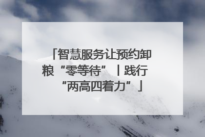 智慧服务让预约卸粮“零等待”丨践行“两高四着力”