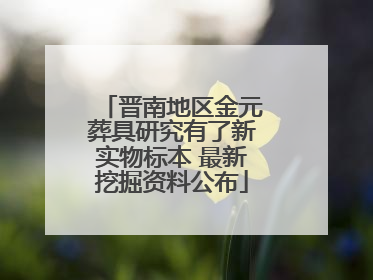 晋南地区金元葬具研究有了新实物标本 最新挖掘资料公布