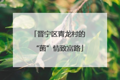晋宁区青龙村的“菌”情致富路