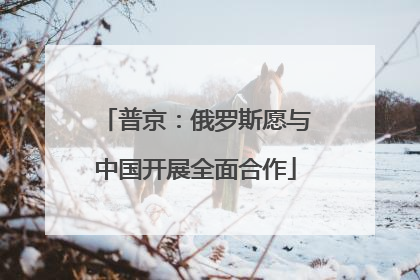 普京：俄罗斯愿与中国开展全面合作