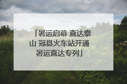 暑运启幕 直达泰山 冠县火车站开通暑运直达专列