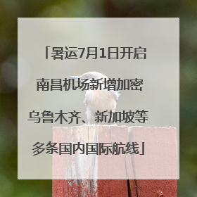 暑运7月1日开启 南昌机场新增加密乌鲁木齐、新加坡等多条国内国际航线