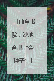 曲阜书院：沙地育出“金种子”