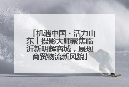 机遇中国・活力山东丨摄影大师聚焦临沂新明辉商城，展现商贸物流新风貌