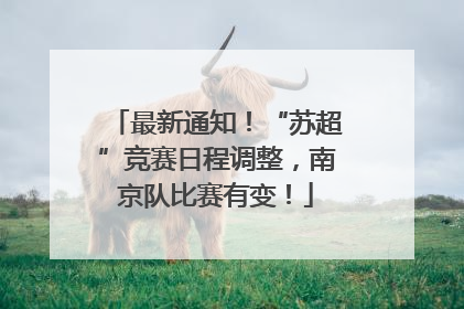 最新通知！“苏超”竞赛日程调整，南京队比赛有变！