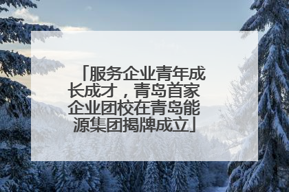 服务企业青年成长成才，青岛首家企业团校在青岛能源集团揭牌成立