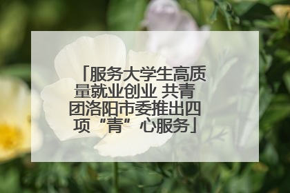 服务大学生高质量就业创业 共青团洛阳市委推出四项“青”心服务