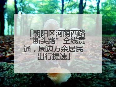 朝阳区河荫西路“断头路”全线贯通，周边万余居民出行提速