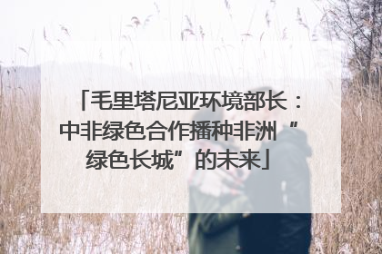 毛里塔尼亚环境部长：中非绿色合作播种非洲“绿色长城”的未来
