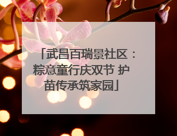 武昌百瑞景社区：粽意童行庆双节 护苗传承筑家园