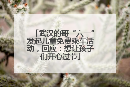 武汉的哥“六一”发起儿童免费乘车活动，回应：想让孩子们开心过节