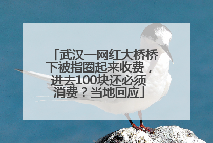 武汉一网红大桥桥下被指圈起来收费，进去100块还必须消费？当地回应