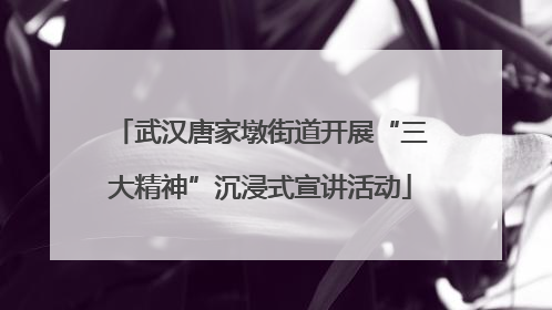 武汉唐家墩街道开展“三大精神”沉浸式宣讲活动