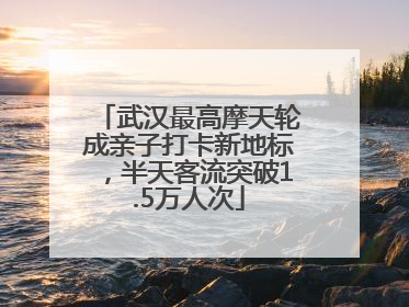 武汉最高摩天轮成亲子打卡新地标，半天客流突破1.5万人次