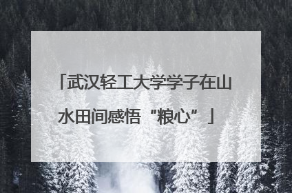 武汉轻工大学学子在山水田间感悟“粮心”