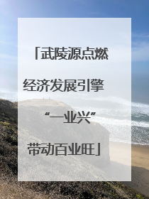 武陵源点燃经济发展引擎 “一业兴”带动百业旺