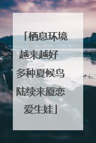栖息环境越来越好 多种夏候鸟陆续来厦恋爱生娃
