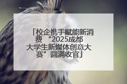 校企携手赋能新消费 “2025成都大学生新媒体创意大赛”圆满收官
