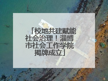 校地共建赋能社会治理！淄博市社会工作学院揭牌成立