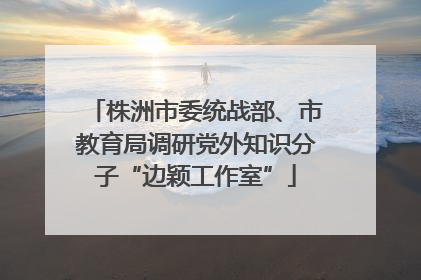 株洲市委统战部、市教育局调研党外知识分子“边颖工作室”