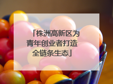 株洲高新区为青年创业者打造全链条生态