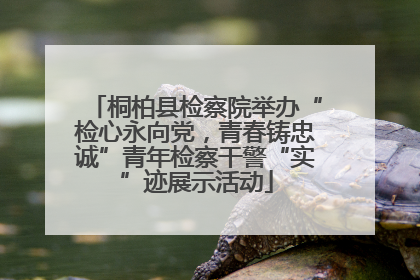桐柏县检察院举办“检心永向党，青春铸忠诚”青年检察干警“实”迹展示活动
