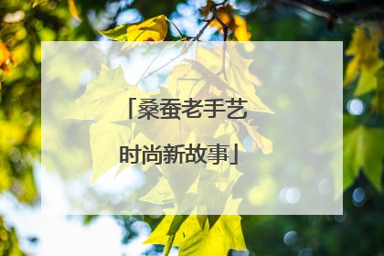 桑蚕老手艺 时尚新故事