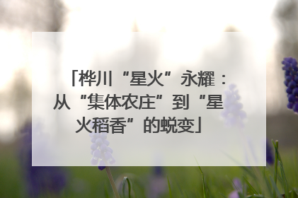 桦川“星火”永耀：从“集体农庄”到“星火稻香”的蜕变