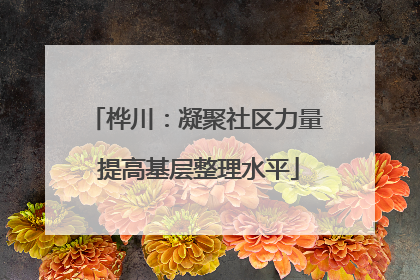 桦川：凝聚社区力量 提高基层整理水平