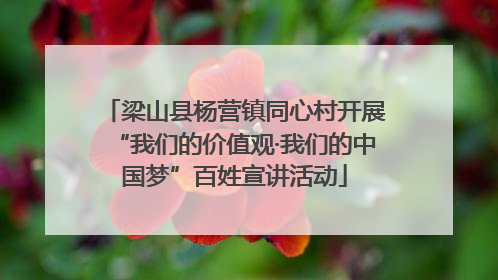 梁山县杨营镇同心村开展“我们的价值观·我们的中国梦”百姓宣讲活动