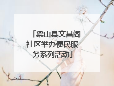 梁山县文昌阁社区举办便民服务系列活动