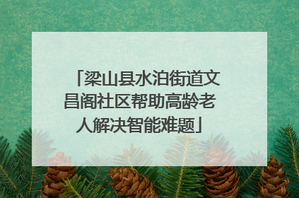 梁山县水泊街道文昌阁社区帮助高龄老人解决智能难题