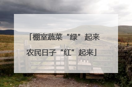 棚室蔬菜“绿”起来 农民日子“红”起来