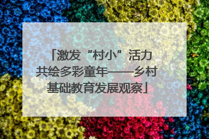 激发“村小”活力 共绘多彩童年——乡村基础教育发展观察