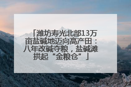 潍坊寿光北部13万亩盐碱地迈向高产田：八年改碱夺粮，盐碱滩拱起“金粮仓”
