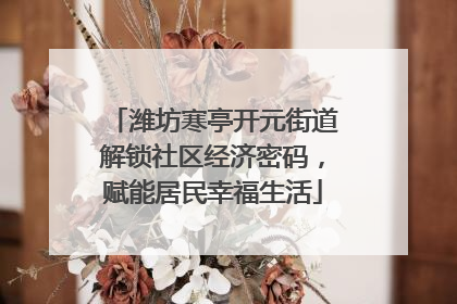 潍坊寒亭开元街道解锁社区经济密码，赋能居民幸福生活