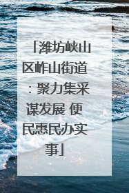 潍坊峡山区岞山街道：聚力集采谋发展 便民惠民办实事