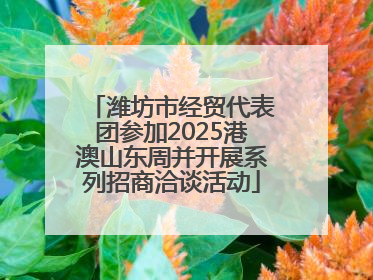 潍坊市经贸代表团参加2025港澳山东周并开展系列招商洽谈活动