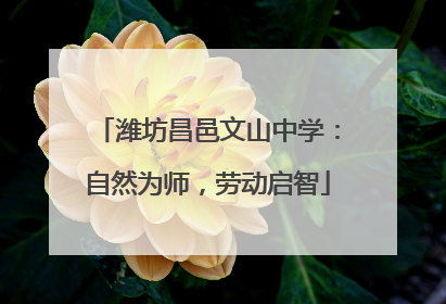 潍坊昌邑文山中学：自然为师，劳动启智
