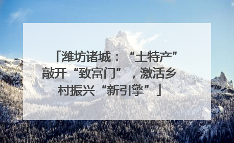 潍坊诸城：“土特产”敲开“致富门”，激活乡村振兴“新引擎”