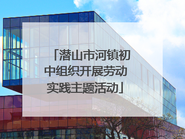 潜山市河镇初中组织开展劳动实践主题活动