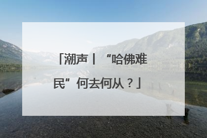 潮声丨“哈佛难民”何去何从？