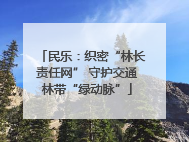 民乐：织密“林长责任网” 守护交通林带“绿动脉”