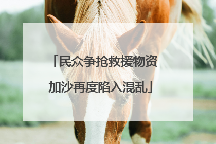 民众争抢救援物资 加沙再度陷入混乱