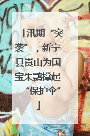 汛期“突袭”，新宁县崀山为国宝朱鹮撑起“保护伞”