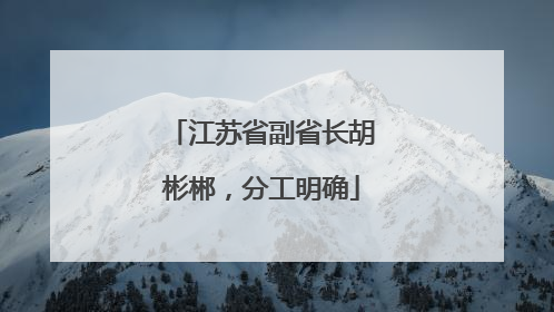 江苏省副省长胡彬郴，分工明确