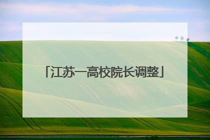 江苏一高校院长调整