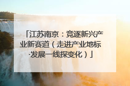 江苏南京：竞逐新兴产业新赛道（走进产业地标·发展一线探变化）